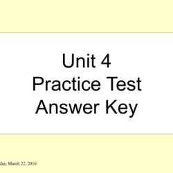 Unit 4 lesson 11 answer key