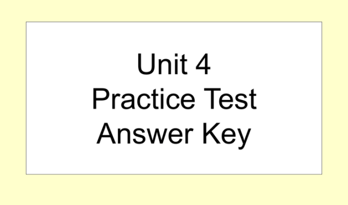 Unit 4 lesson 11 answer key