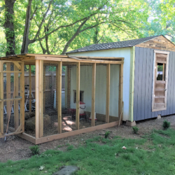 Joe decides to build a chicken coop