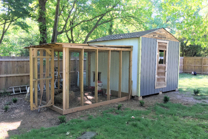 Joe decides to build a chicken coop