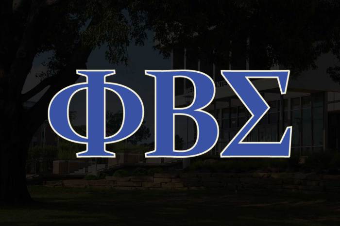 Phi beta sigma mission statement