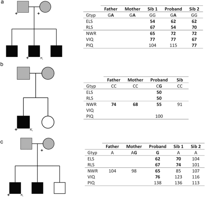 Scoring celf language scores ages subtest age index expressive weebly