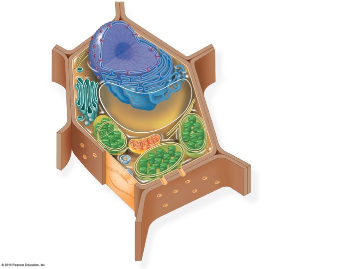 Into the plant cell biobeyond