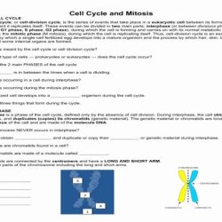 Cellsalive com worksheet answer key