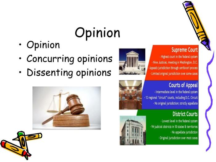 Opinion concurring opinions dissenting presentation