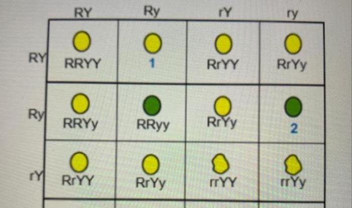 Corresponding drag mee pleasee listed identifies