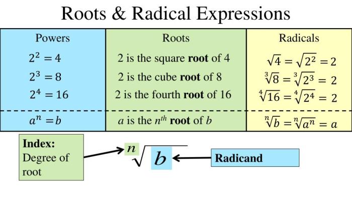 Radical functions and rational exponents unit test